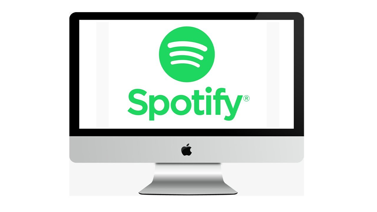 How do you see Spotify plays?