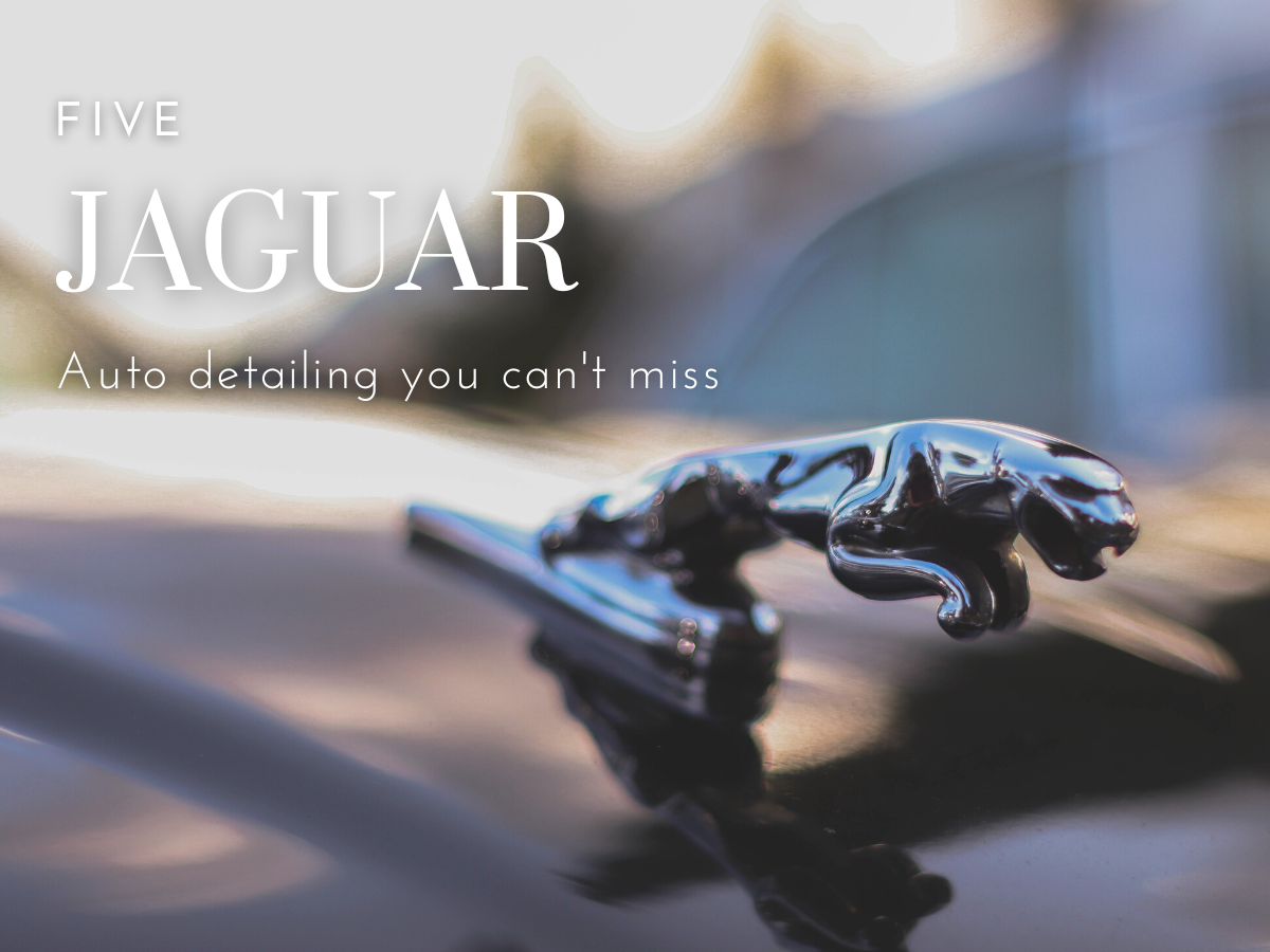 5 Jaguar Auto Detailing You Can't Miss - Bemer Motor Cars