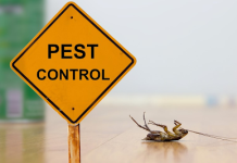 Five Benefits of a Pest-Free Home Home