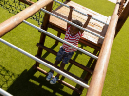 Essential Services That Can Improve Your School’s Outdoor Area Outdoor Area